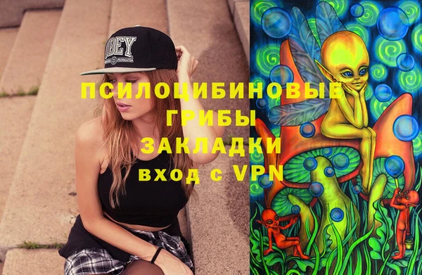 скорость Алзамай