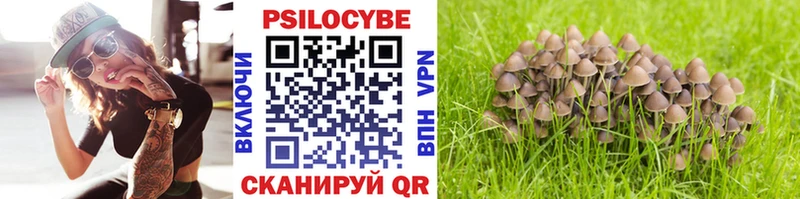 omg tor  Учалы  Галлюциногенные грибы мицелий  купить наркоту 